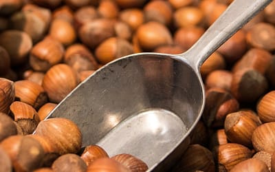 Hazelnuts instead of vitamin tablets?