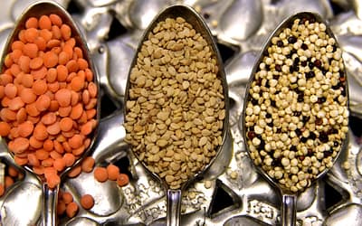 Comeback of the lentils